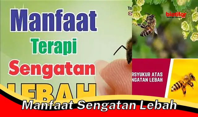 manfaat sengatan lebah