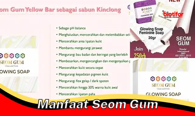 Temukan 5 Manfaat Seom Gum yang Jarang Diketahui