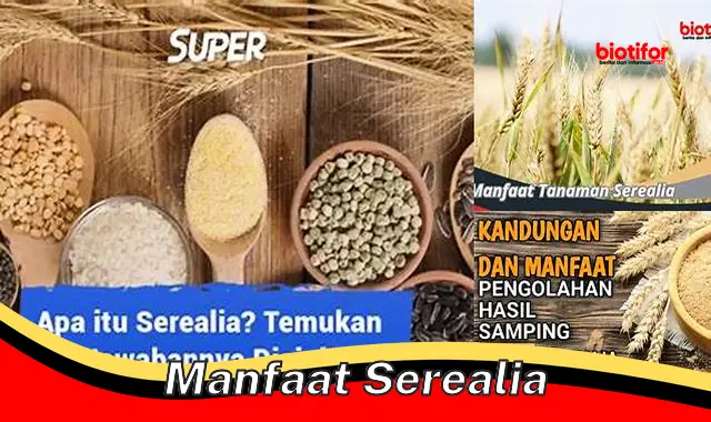 manfaat serealia