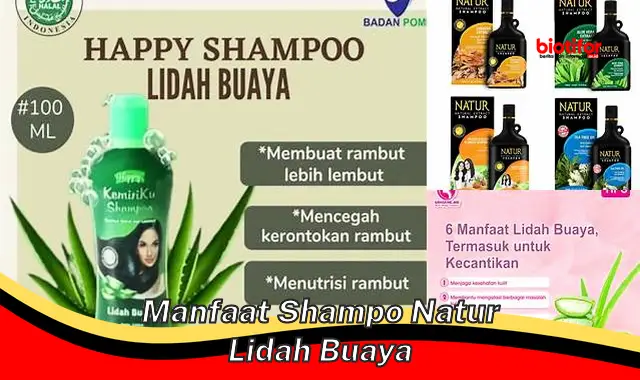 manfaat shampo natur lidah buaya