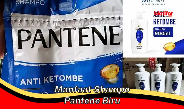 Temukan Rahasia Pantene Shampo Biru yang Jarang Diketahui