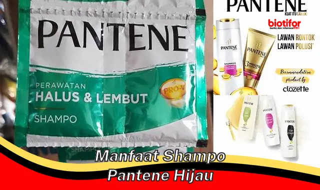 manfaat shampo pantene hijau