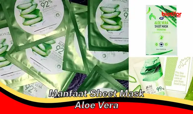 Temukan Manfaat Sheet Mask Aloe Vera yang Jarang Diketahui