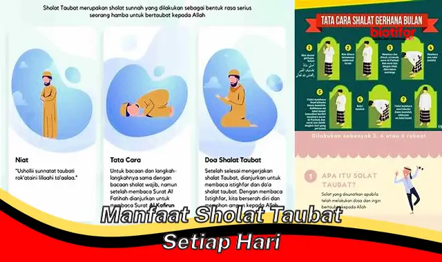 manfaat sholat taubat setiap hari