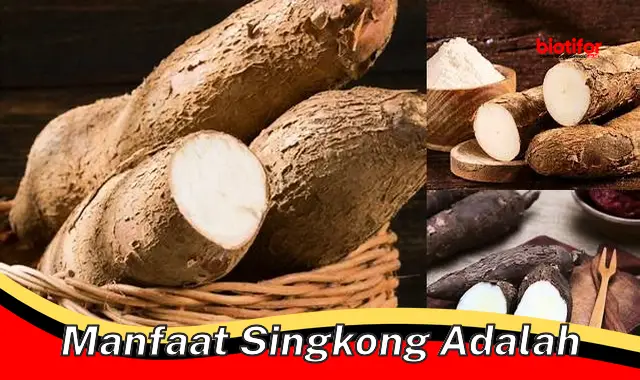 manfaat singkong adalah