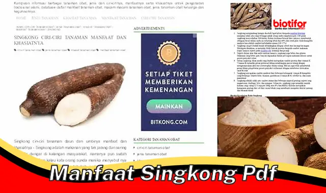 Temukan Manfaat Singkong yang Jarang Diketahui yang Akan Buat Anda Terkejut!