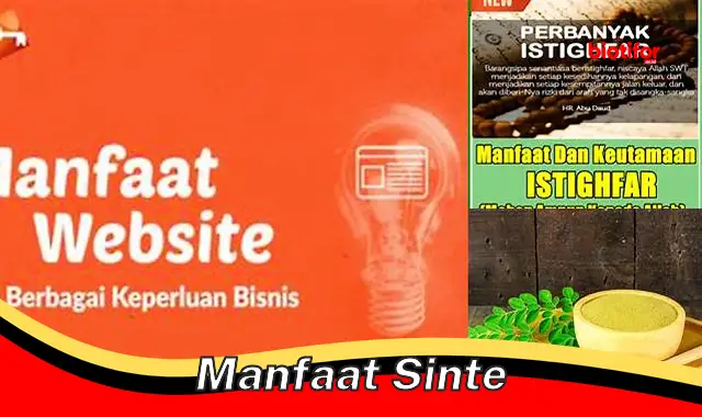 manfaat sinte