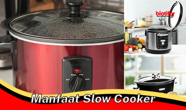 manfaat slow cooker