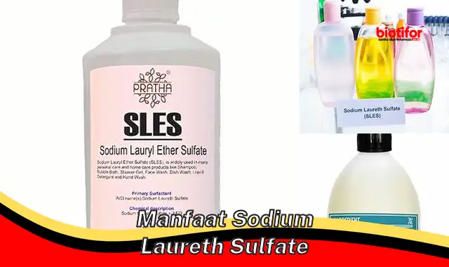 manfaat sodium laureth sulfate