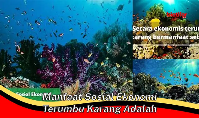 manfaat sosial ekonomi terumbu karang adalah