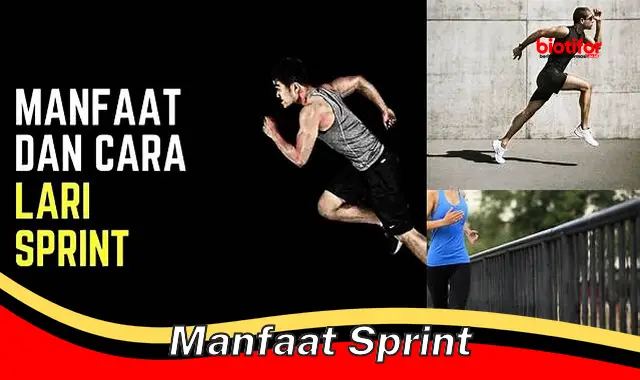 manfaat sprint