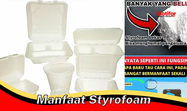 manfaat styrofoam