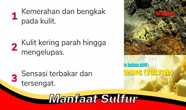 manfaat sulfur