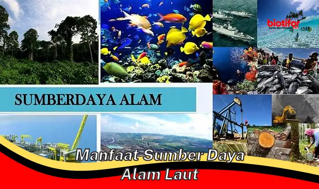 manfaat sumber daya alam laut