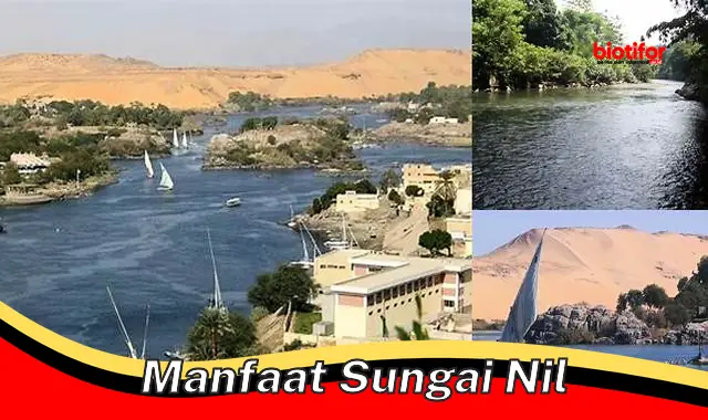 Temukan Manfaat Sungai Nil yang Perlu Anda Ketahui