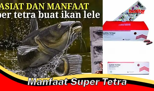 manfaat super tetra