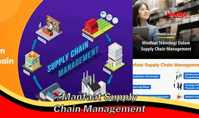 manfaat supply chain management