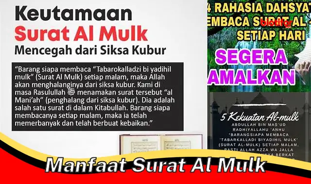 Temukan Manfaat Surat Al Mulk yang Jarang Diketahui