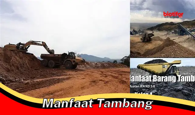 manfaat tambang