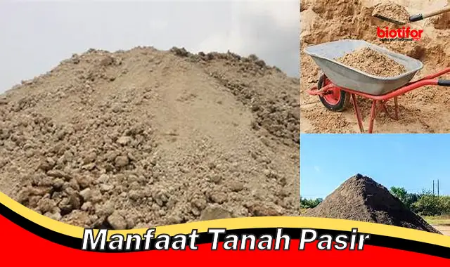 manfaat tanah pasir