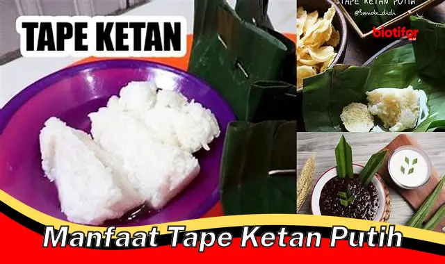 5 Manfaat Tape Ketan Putih yang Jarang Diketahui