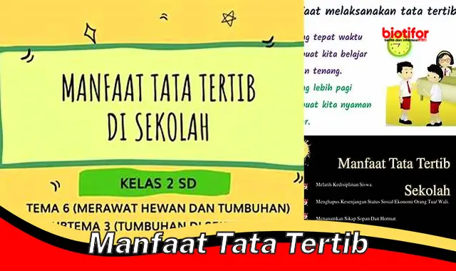 Temukan Manfaat Tata Tertib yang Jarang Diketahui