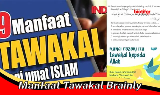 manfaat tawakal brainly