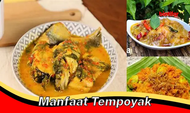 manfaat tempoyak