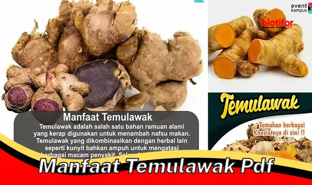 Temukan 5 Manfaat Langka Temulawak yang Perlu Anda Tahu