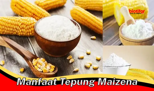 manfaat tepung maizena