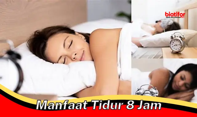 manfaat tidur 8 jam