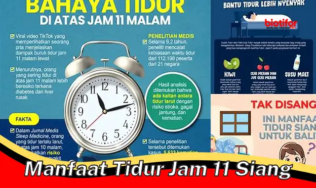 manfaat tidur jam 11 siang