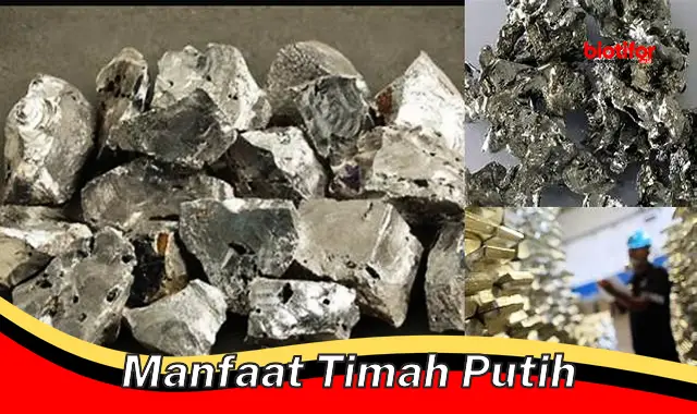 manfaat timah putih