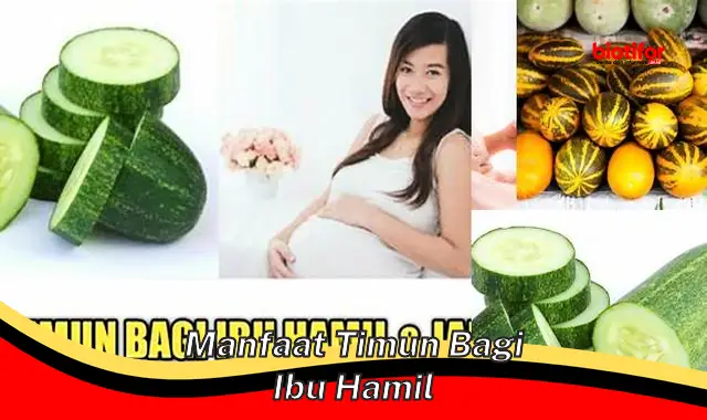 manfaat timun bagi ibu hamil