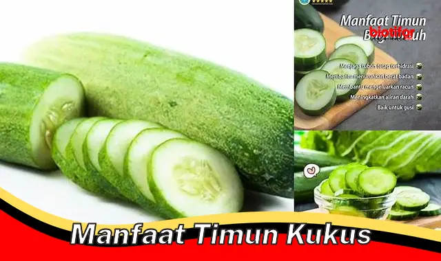 manfaat timun kukus