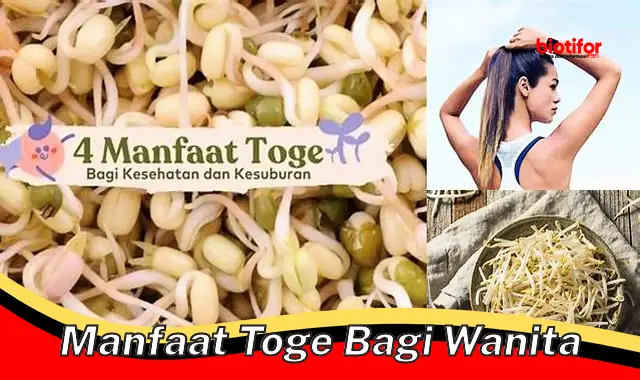 manfaat toge bagi wanita