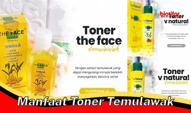 manfaat toner temulawak