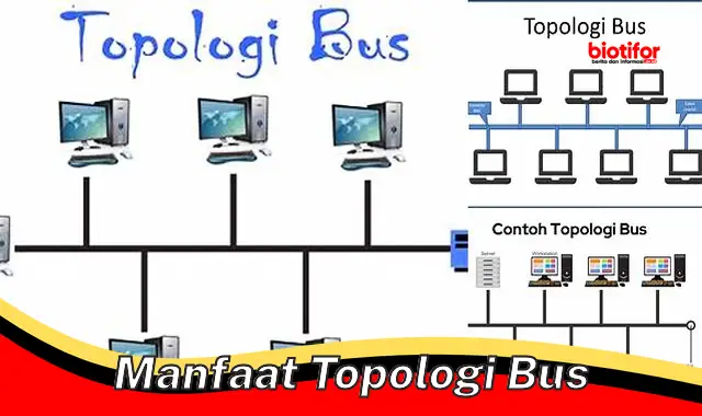 manfaat topologi bus