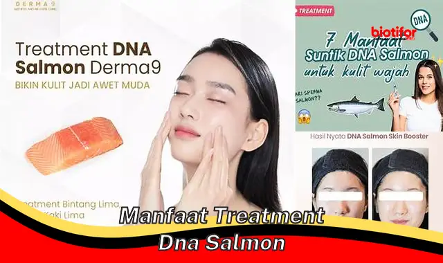 Temukan Rahasia Perawatan DNA Salmon yang Jarang Diketahui