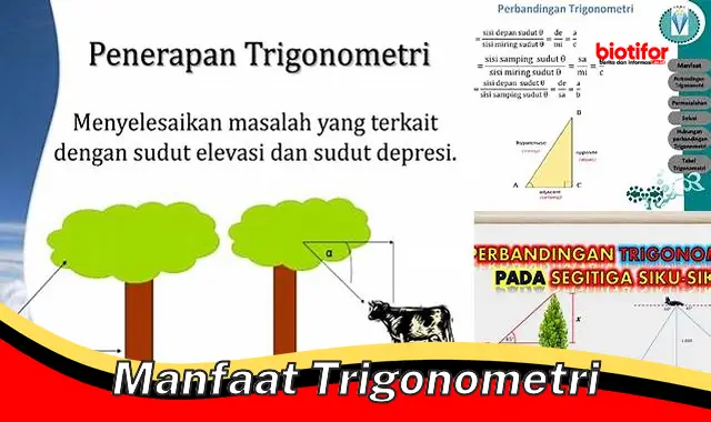 Temukan Manfaat Trigonometri yang Jarang Diketahui