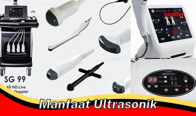 manfaat ultrasonik