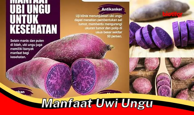 Temukan Manfaat Uwi Ungu Yang Jarang Diketahui