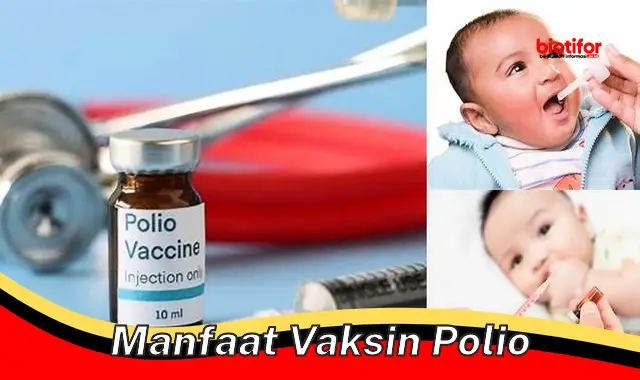 manfaat vaksin polio