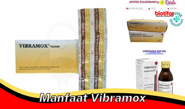 manfaat vibramox