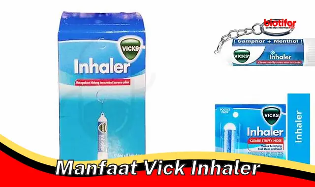 manfaat vick inhaler