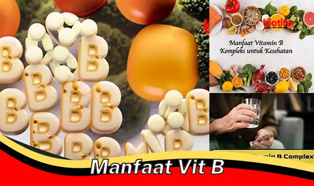 Temukan Manfaat Tersembunyi Vitamin B yang Jarang Diketahui! - Biotifor