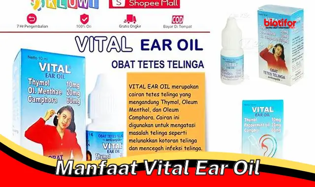 manfaat vital ear oil