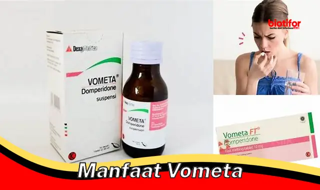 manfaat vometa