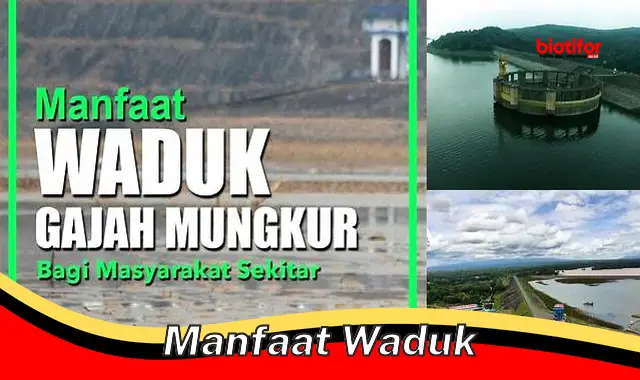 Temukan Manfaat Waduk yang Jarang Diketahui, Wajib Diketahui!