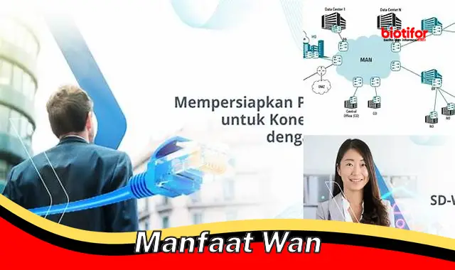 manfaat wan